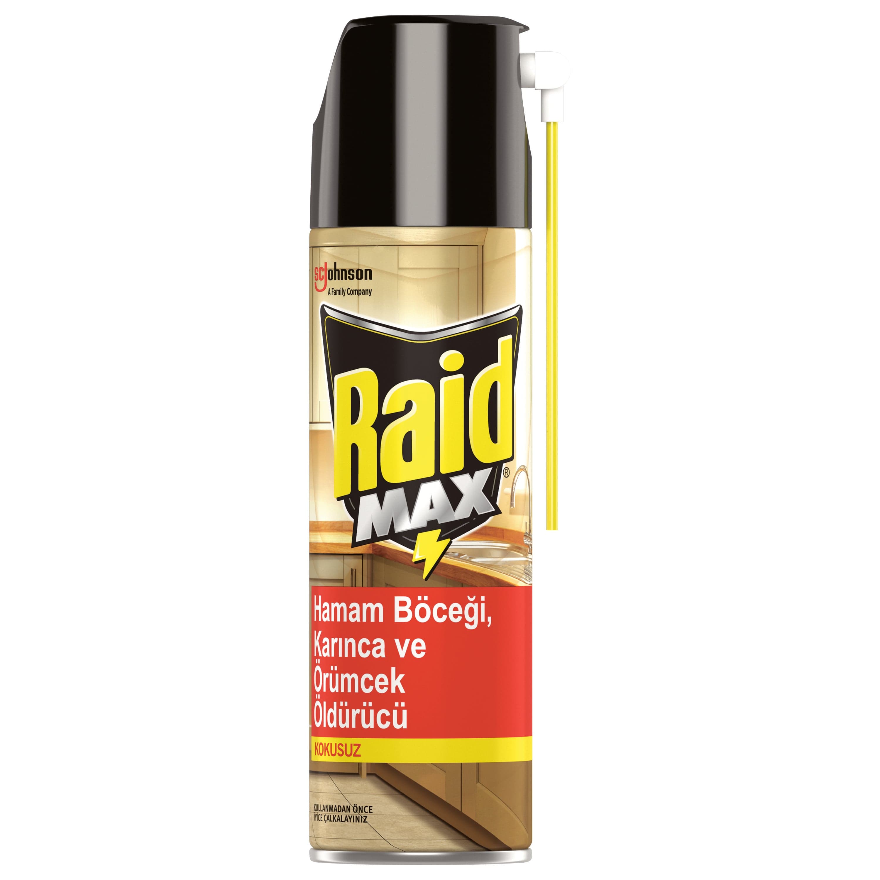Raid Max Böcek Öldürücü Kokusuz 300ml