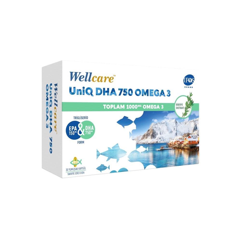 Wellcare Omega 3 1000mg 30 Softgel