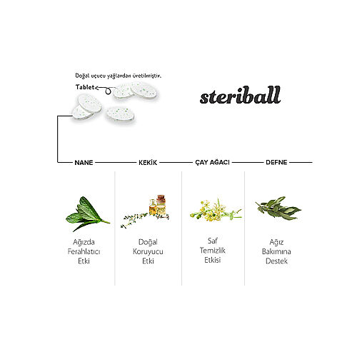 Steriball Pilli veya Şarjlı Diş Fırçaları İçin Hijyenik Diş Fırçası Kabı - Mavi - Görsel 2