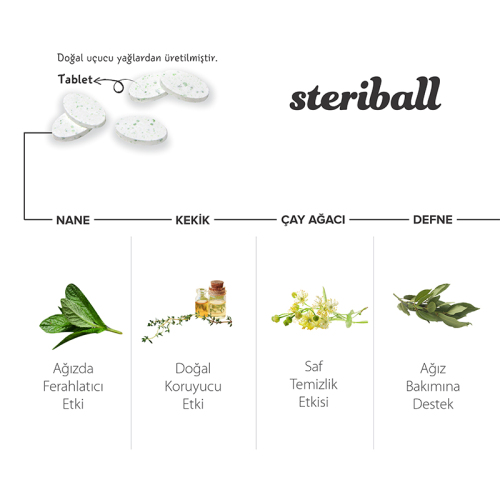 Steriball Pilli veya Şarjlı Diş Fırçaları İçin Hijyenik Diş Fırçası Kabı - Şeffaf - Görsel 2