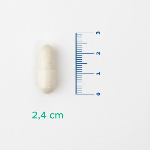 Velavit V-ArginMen Takviye Edici Gıda 120 Kapsül - Görsel 3