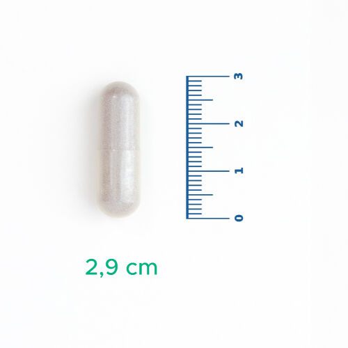 Velavit V-Firstect with Colostrum Takviye Edici Gıda 30 Kapsül - Görsel 3
