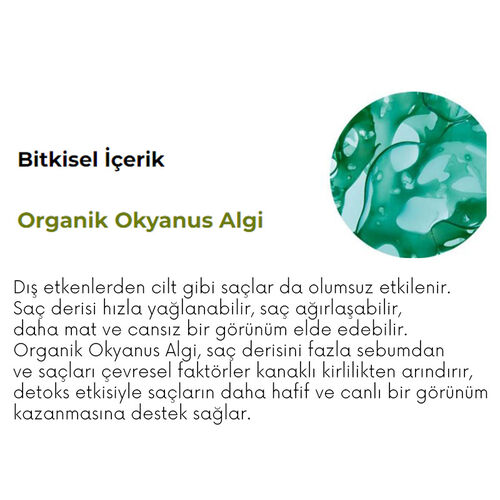 Yves Rocher Pure Detox Yağlı Saçlar İçin Arındırıcı Şampuan 300 ml - Görsel 4